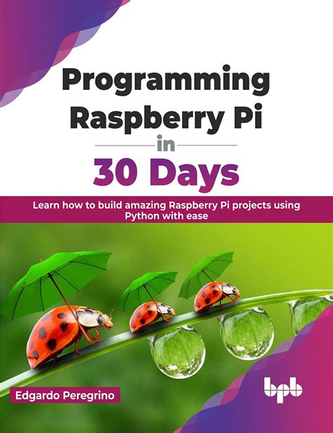 Programming Pi Guide Raspberry