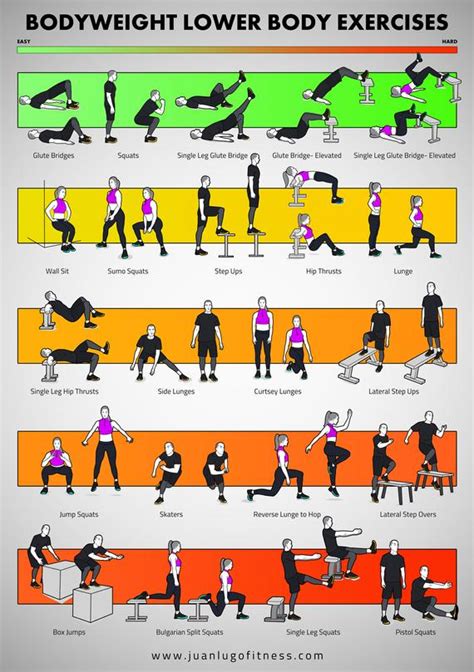 Progress From Beginner to Advanced Lower Body Exercises
