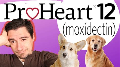 ProHeart® 12 is an injectable heartworm disease preventative that provides 12 months of continuous protection against heartworm disease with a single veterinary-administered …. 