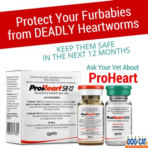 Proheart dosage. ProHeart 6 is a medication that prevents heartworm disease in dogs 6 months of age and older. ProHeart 6 is given by injection by your veterinarian. One injection of ProHeart 6 protects your dog from heartworm disease for 6 complete months. ProHeart 6 also treats common hookworm infections that may be present at the time of injection. 