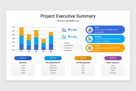 Project Executive Summary PowerPoint project summary Templates