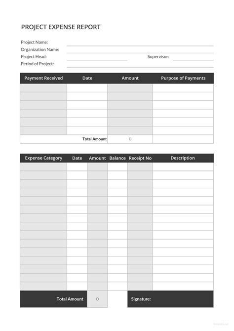 Project Expense Report Template in Microsoft Word, Excel