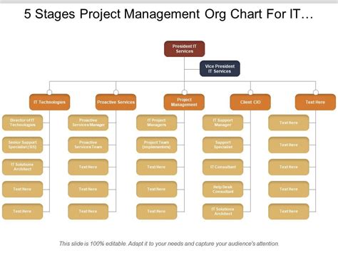 Project Management Organizational Chart