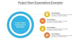 Project Team Expectations Examples Ppt Powerpoint Presentation File