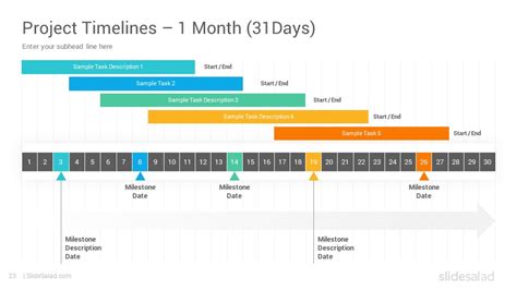 Project Timelines Diagrams PowerPoint Presentation Template