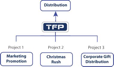 Project management The Fulfilment People (TFP)