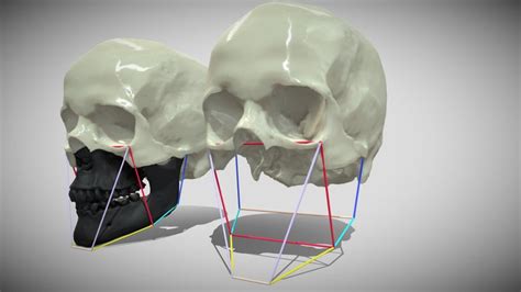 Proko 3d model. 2k 2 590 enterprise Enterprise Solutions 3D Configurators 3D eComme...