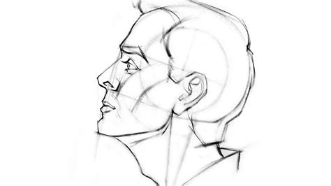 Proko How to Draw the Head Side View