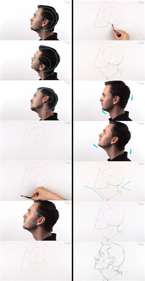 Proko How to Draw the Head Side View Drawing heads, Portrait
