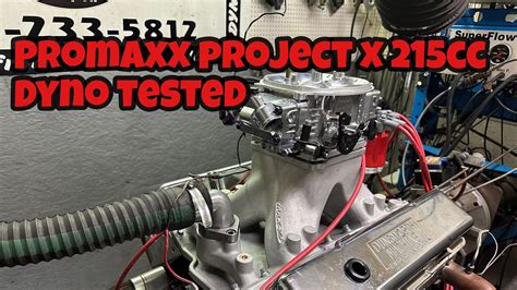 PROMAXX Performance Project X small block Chevrolet cylinder heads have the right stuff to perfectly fit your budget build with abundant power. The economical "As-Cast" aluminum versions feature ultra-smooth 356-T6 casting, precision machining, and an array of assembled options, as well as being available bare.. 