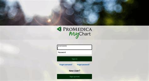Promedica login. ProMedica 