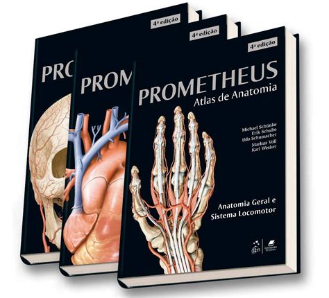 Prometheus prometheus texto und atlas de anatomia prometheus lehrbuch und. - Amtlicher bericht über die industrie-ausstellung aller völker zu london im jahre 1851.