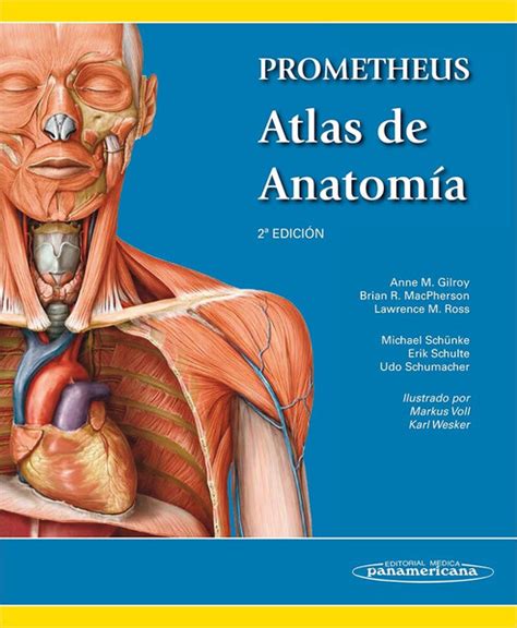 Prometheus prometheus texto y atlas de anatomia prometheus textbook and anatomy atlas spanish edition. - Réponses du manuel de chimie 1107.