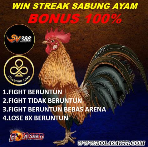 Promo sabung ayam 5x win. Mimpi togel 1 sampai 100. Toto hk live malam.