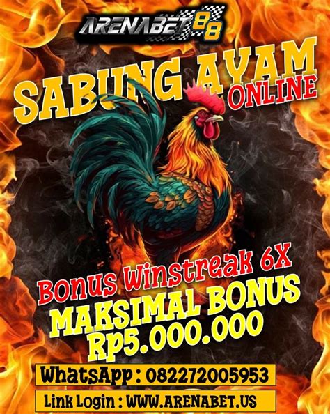 Promo sabung ayam 6x win lose. Angka pengeluaran sdy hari.