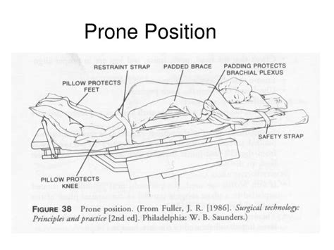 Pronebone position. Things To Know About Pronebone position. 