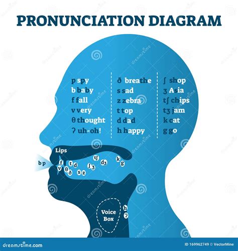 Are you tired of stumbling over unfamiliar words when reading or speaking? Do you want to impress others with your impeccable pronunciation? Look no further. In this article, we wi.... 