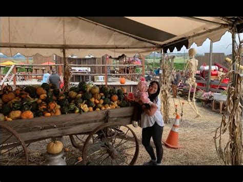 Sep 9, 2022 · HEALDSBURG: 10 a.m.-4:30 p.m. Daily: Foggy River Pumpkin Patch. Fields of beautiful pumpkins, gourds and winter squash are surrounded by a backdrop of the Russian River Valley. Our fairytale ... . 