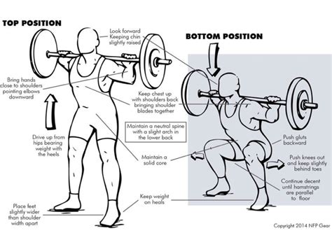 Proper Back Position for Power