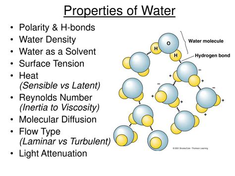 Properties of water. Things To Know About Properties of water. 