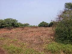 Property for Sale in Gorai, Mumbai - Magicbricks