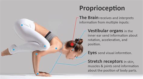 Proprioception and Maintaining Balance