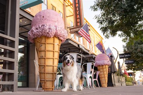 Prospect Park - urbansniffs.com