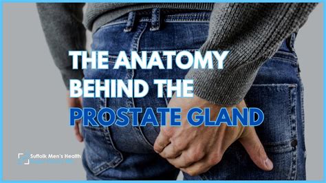 Prostata Penetration