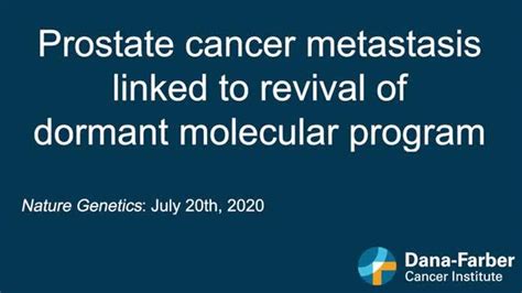 Prostate cancer metastasis linked to revival EurekAlert!