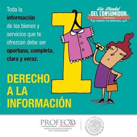 Protección legal y procedimental de los derechos de los consumidores. - Guida all'informatica medica 2nd 04 di coiera enrico (inglese) copertina flessibile 2003.
