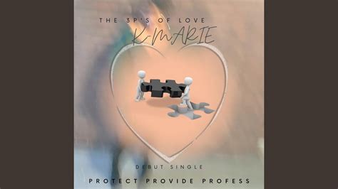 Protect Provide Profess (The 3p