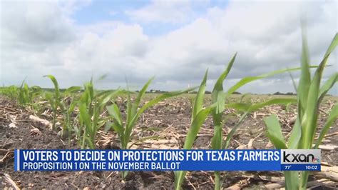 Protections for Texas farmers on the November ballot