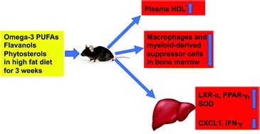 Protective effects of a unique combination of nutritionally active ...