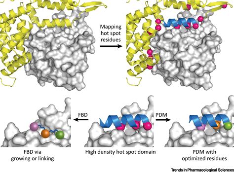 Protein–Ligand Interactions as the Basis for Drug Action