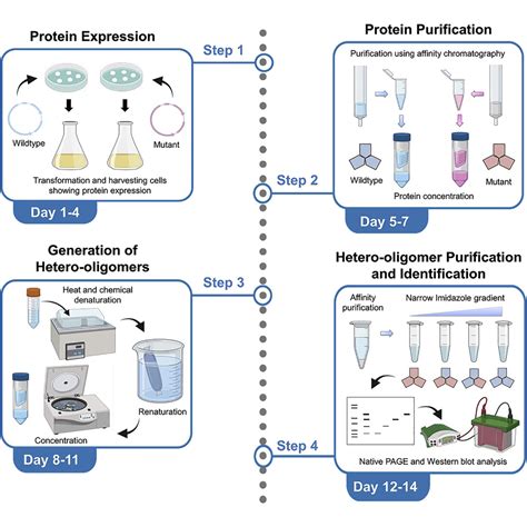 Protein Purification Protocols