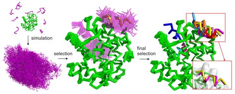 PMID: 24532726 Cited by. ZDOCK server: Interactive docking prediction of protein-protein complexes and symmetric multimers. Pierce B.G. Wiehe K. Hwang H. Kim B.-H. Vreven T. Weng Z. Bioinformatics, 2014. Protein-protein interactions are essential to cellular and immune function, and in many cases, because of the absence of an …. 