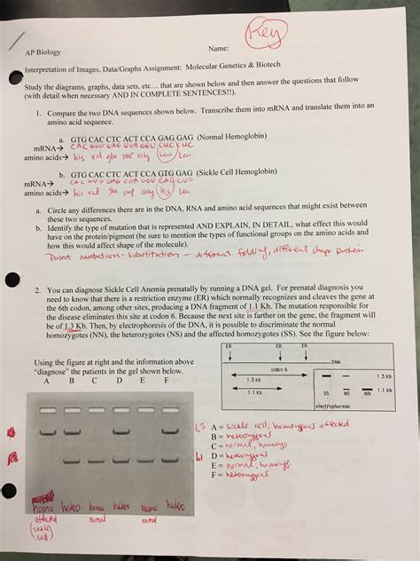 2 POGIL™ Activities for AP* Biology. If an mRNA molecule had 300 nucleotides in the coding region of the strand, how many amino acids would be in the polypeptide that was synthesized? Show mathematical work to support your answer. Consider the information in Model 1. a. How many different codons (triplets) code for the amino acid Proline (Pro .... 