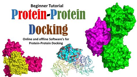 The so-called “protein docking” problem, that is th