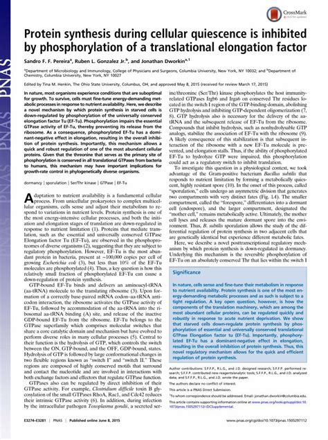 Protein synthesis during cellular quiescence is inhibited by ...