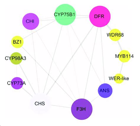 Protein-protein interaction of the putative …