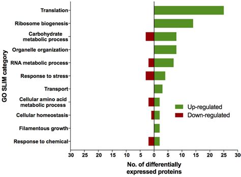 Proteomic and Metabolomic Characteristics of Extremophilic Fungi …