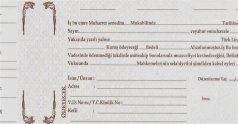 codini.rgarabwor.edu.pl. 