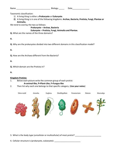 Protists and fungi study guide answer key. - Obras completas de rafael barrett ....