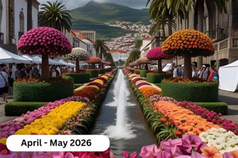 Provence in Bloom: Exploring Flower Festivals & the Perfume Capital of the World (2026)