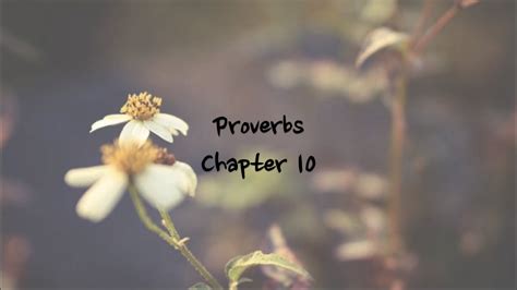 Proverbs 10 niv audio. Things To Know About Proverbs 10 niv audio. 