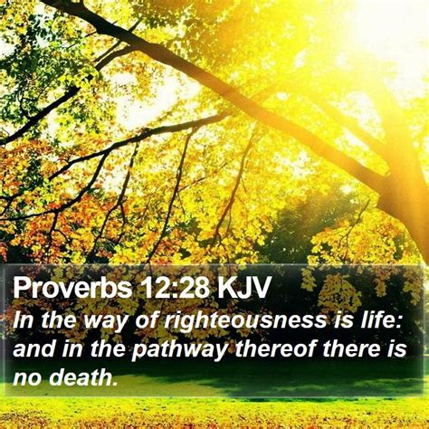 Proverbs 12:28 NLT - The way of the godly… Biblia