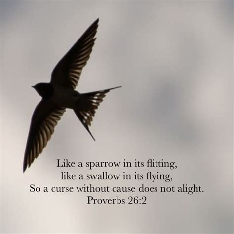 Proverbs 26:2 Commentaries: Like a sparrow in its flitting ... - Bible Hub