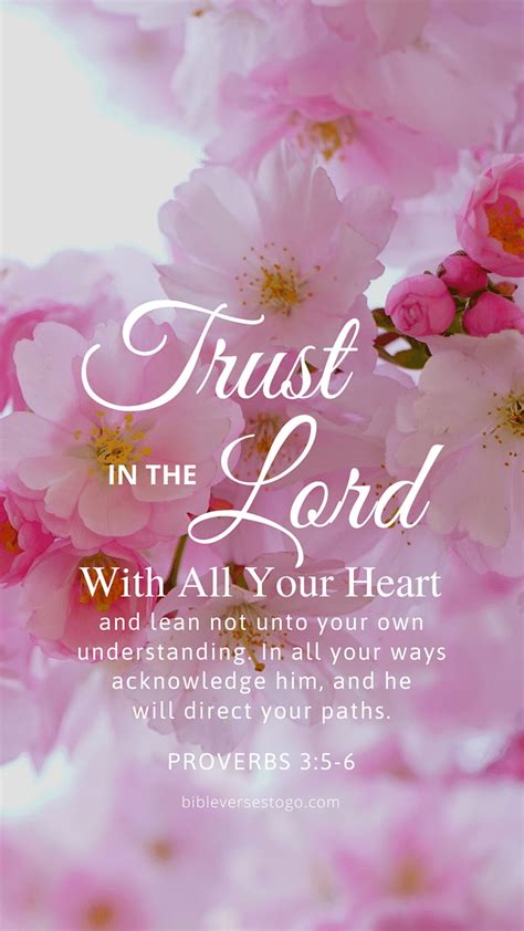 Proverbs 356 kjv. Proverbs 3:5-6 NIV. Trust in the LORD with all your heart and lean not on your own understanding; in all your ways submit to him, and he will make your paths straight. NIV: New International Version. Share. Read Proverbs 3. Bible App Bible App for Kids. Verse Images for Proverbs 3:5-6 