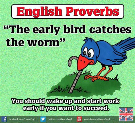 Proverbs about Worm / Page 4