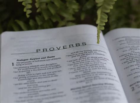 Proverbs of the Day: A Timeless Guide for Success